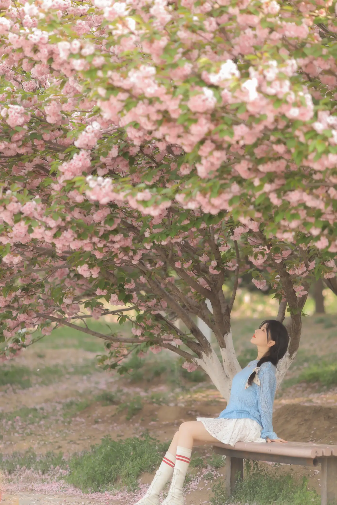 [YITUYU] 2022.06.22 Vol.1252 – Pink Blue Evening Cherry Blossoms Yang Yimo#[29P]-18